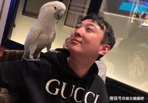 王思聪今日史诗级爆料,揭秘娱乐圈不为人知的秘密 第1张 王思聪今日史诗级爆料,揭秘娱乐圈不为人知的秘密 第1张